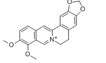 nn-二甲基环己胺